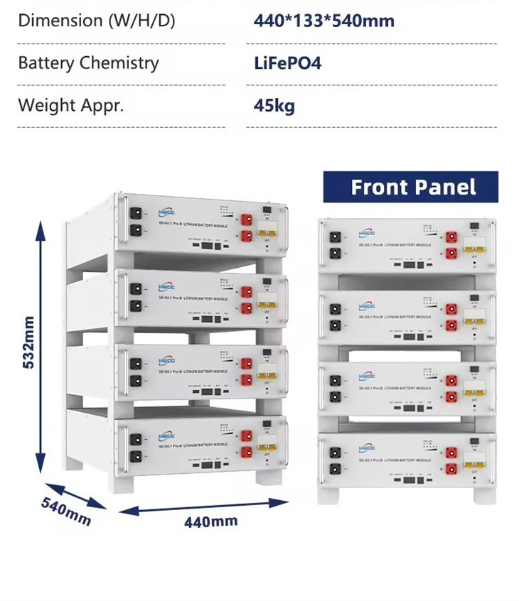 Lifepower Server Rack Battery