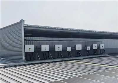 What Are Some Famous Inverter Manufacturers?