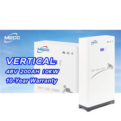 48v Bms 100AH 200AH LiFePO4 Battery